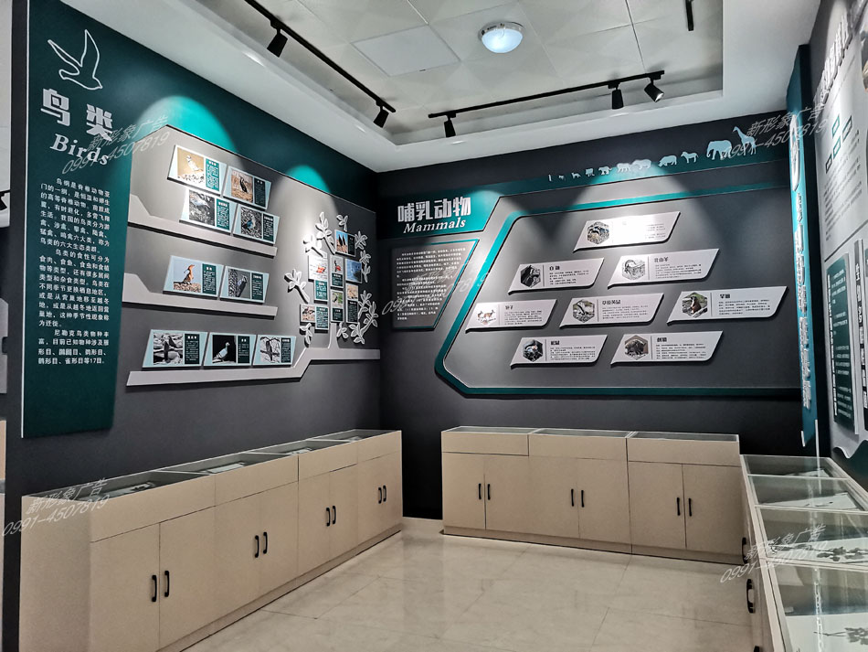 研學館鳥類、哺乳動物展廳設計制作