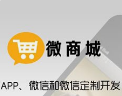 微邦網(wǎng)絡(luò),微商城與小程序商城的運營成本差異